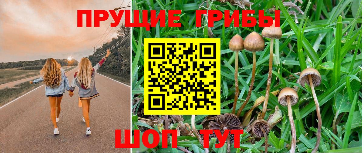 Псилоцибиновые грибы Magic Shrooms Нижнекамск