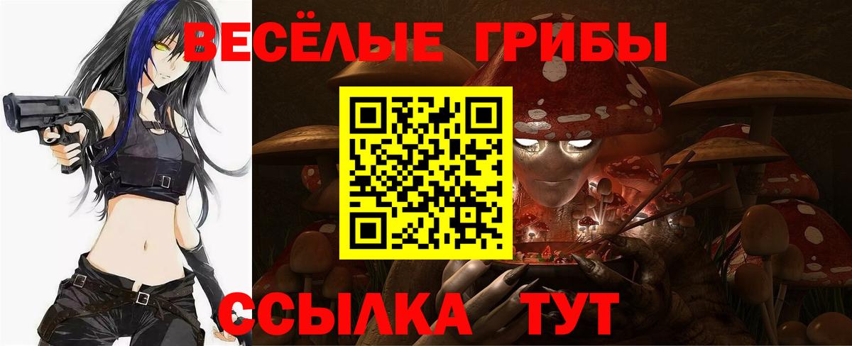 Нижнекамск  Галлюциногенные грибы GOLDEN TEACHER  купить наркотик  Вход с VPN  Галлюциногенные грибы Psilocybe 