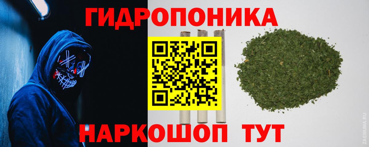 Шишки марихуана планчик Нижнекамск